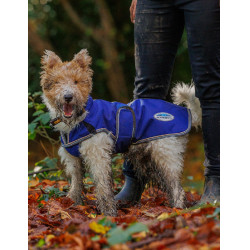 Coperta per cane 220g Weatherbeeta ComFiTec Deluxe