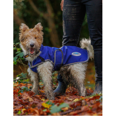 Coperta per cane 220g Weatherbeeta ComFiTec Deluxe