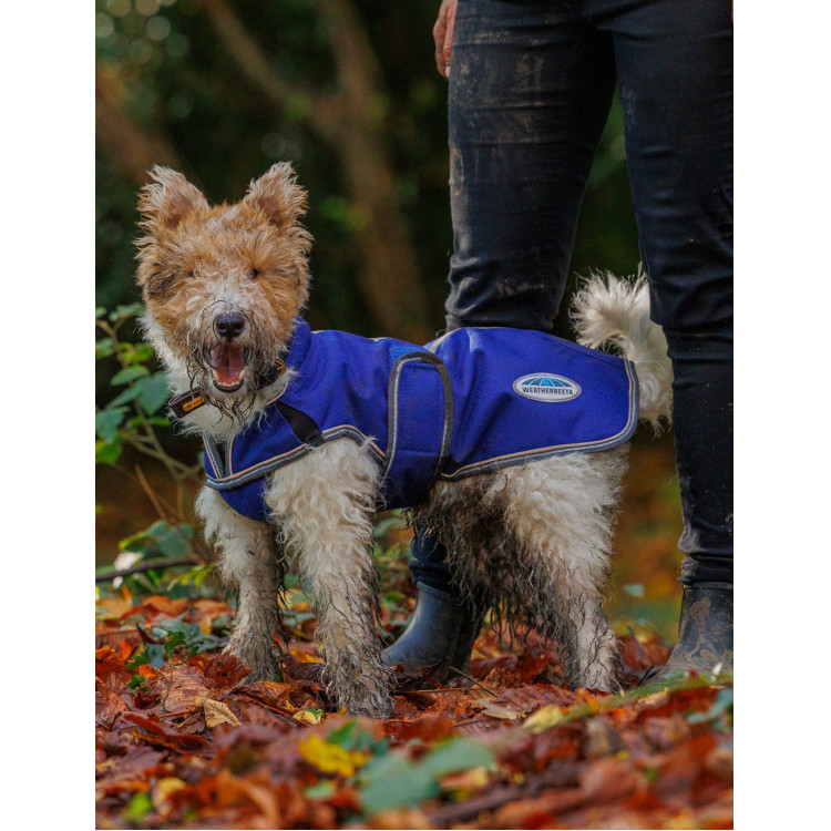Coperta per cane 220g Weatherbeeta ComFiTec Deluxe