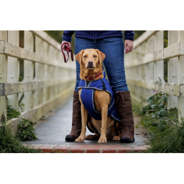 Coperta per cane 220g Weatherbeeta ComFiTec Deluxe Coperta per cane 220g Weatherbeeta ComFiTec Deluxe