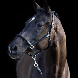Capestro HV Polo Franka Nero
