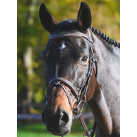 Briglia Carat Jump'In One Premium Avana cristallo mare