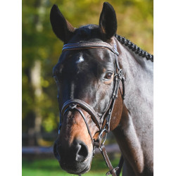Briglia Carat Jump'In One Premium Avana Marrone