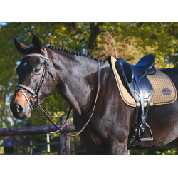 Briglia Carat Jump'In One Premium Avana Marrone