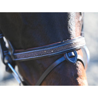 Briglia Carat Jump'In One Premium Avana cristallo mare