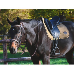 Briglia Carat Jump'In One Premium Avana Marrone