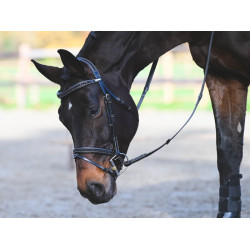 Briglia Carat Jump'In One Premium Nero