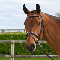 Briglia Clincher Jump'In One Premium Avana Marrone Briglia Clincher Jump'In One Premium Avana Marrone