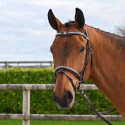 Briglia Clincher Jump'In One Premium Avana Marrone