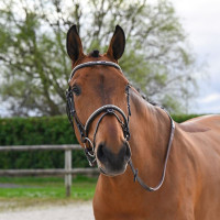 Briglia Clincher Jump'In One Premium Nero Briglia Clincher Jump'In One Premium Nero