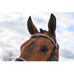 Briglia Clincher Jump'In One Premium Avana Marrone