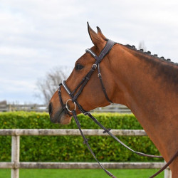 Briglia Clincher Jump'In One Premium Avana Marrone