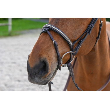 Briglia Clincher Jump'In One Premium Briglia Clincher Jump'In One Premium
