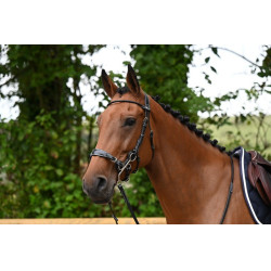 Briglia Hackamore Jump'In week Nero