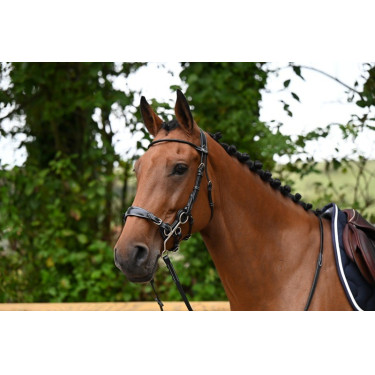 Briglia Hackamore Jump'In week Nero Briglia Hackamore Jump'In week Nero