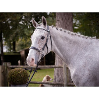 Briglia Hackamore Jump'In week Nero Briglia Hackamore Jump'In week Nero