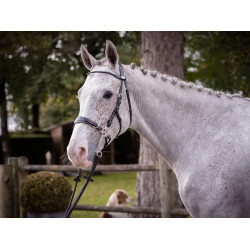 Briglia Hackamore Jump'In week Nero