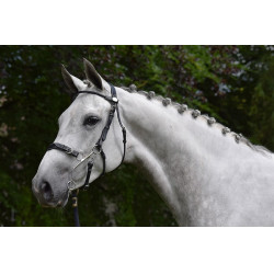 Briglia Hackamore Jump'In week Nero