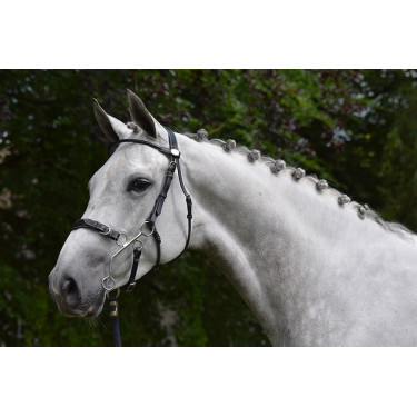 Briglia Hackamore Jump'In week Nero Briglia Hackamore Jump'In week Nero