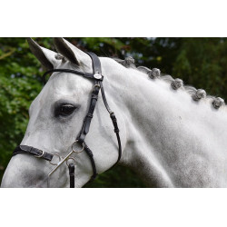 Briglia Hackamore Jump'In week Nero