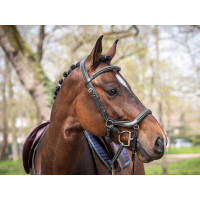 Bridon Jump'In Summer capezzina anatomica week Nero