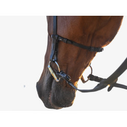 Bridon Liberty Jump'In One Nero