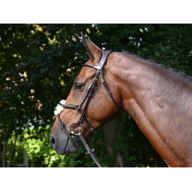 Briglia Wednesday capezzina incrociata Jump'In week