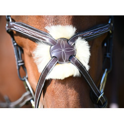 Briglia Wednesday capezzina incrociata Jump'In week Avana Marrone