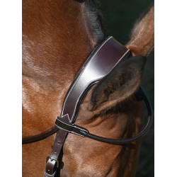 Briglia Wednesday capezzina incrociata Jump'In week Avana Marrone