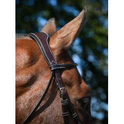 Briglia Wednesday capezzina incrociata Jump'In week Avana Marrone