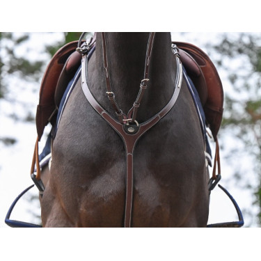 Pettorale Clincher con martingala Jump'In One Premium