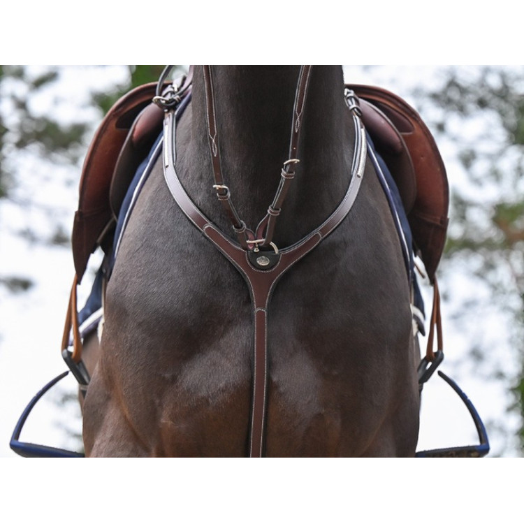 Pettorale Clincher con martingala Jump'In One Premium