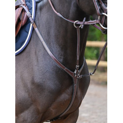 Pettorale Clincher con martingala Jump'In One Premium Avana Marrone