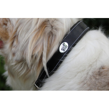 Collare per cane Jump'In Nero