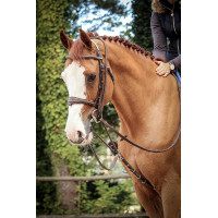 Enrenamento Jump'In Patrick Avana Marrone