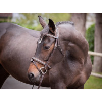 Filet Jump'In Crystal capezzina combinata Week Avana cristallo blu Filet Jump'In Crystal capezzina combinata Week Avana cristallo blu