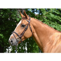 Filet Jump'In Monday capezzina combinata week Avana Marrone Filet Jump'In Monday capezzina combinata week Avana Marrone
