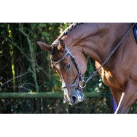 Filet Jump'In New York One Nocciola Marrone Filet Jump'In New York One Nocciola Marrone