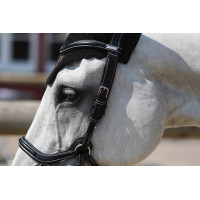 Filet Jump'In New York One Nero