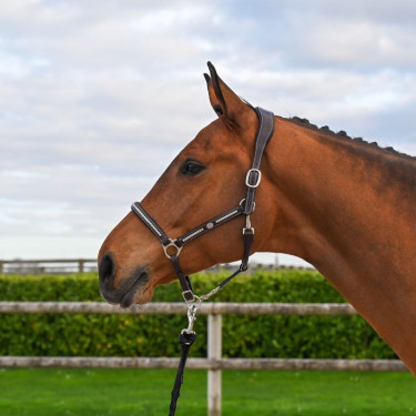 Capestro Clincher Jump'In One Premium Capestro Clincher Jump'In One Premium