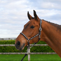 Capestro Clincher Jump'In One Premium Avana Marrone Capestro Clincher Jump'In One Premium Avana Marrone