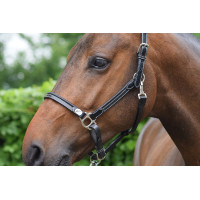 Capestro da grooming Jump'In week Mogano Bordeaux Capestro da grooming Jump'In week Mogano Bordeaux