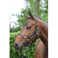 Capestro da grooming Jump'In week Mogano Bordeaux Capestro da grooming Jump'In week Mogano Bordeaux