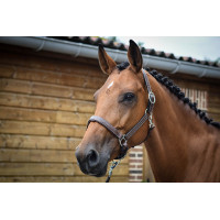 Capezza Fancy Jump'In One Nocciola Marrone Capezza Fancy Jump'In One Nocciola Marrone