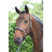 Capestro Wednesday Jump'In week Avana Marrone Capestro Wednesday Jump'In week Avana Marrone