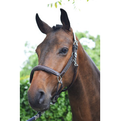 Capestro Wednesday Jump'In week Avana Marrone Capestro Wednesday Jump'In week Avana Marrone