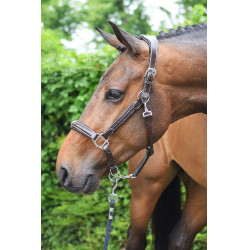 Capestro Wednesday Jump'In week Avana Marrone Capestro Wednesday Jump'In week Avana Marrone