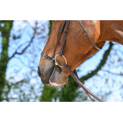 Museruola tedesca con catena Jump'In Week