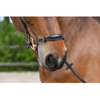 Museruola tedesca Jump'In Week Nero