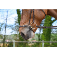 Museruola tedesca Jump'In Week Nero